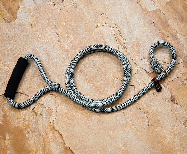 Alpine Quik-Hitch Lead